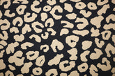 Canvas Crazy Leo